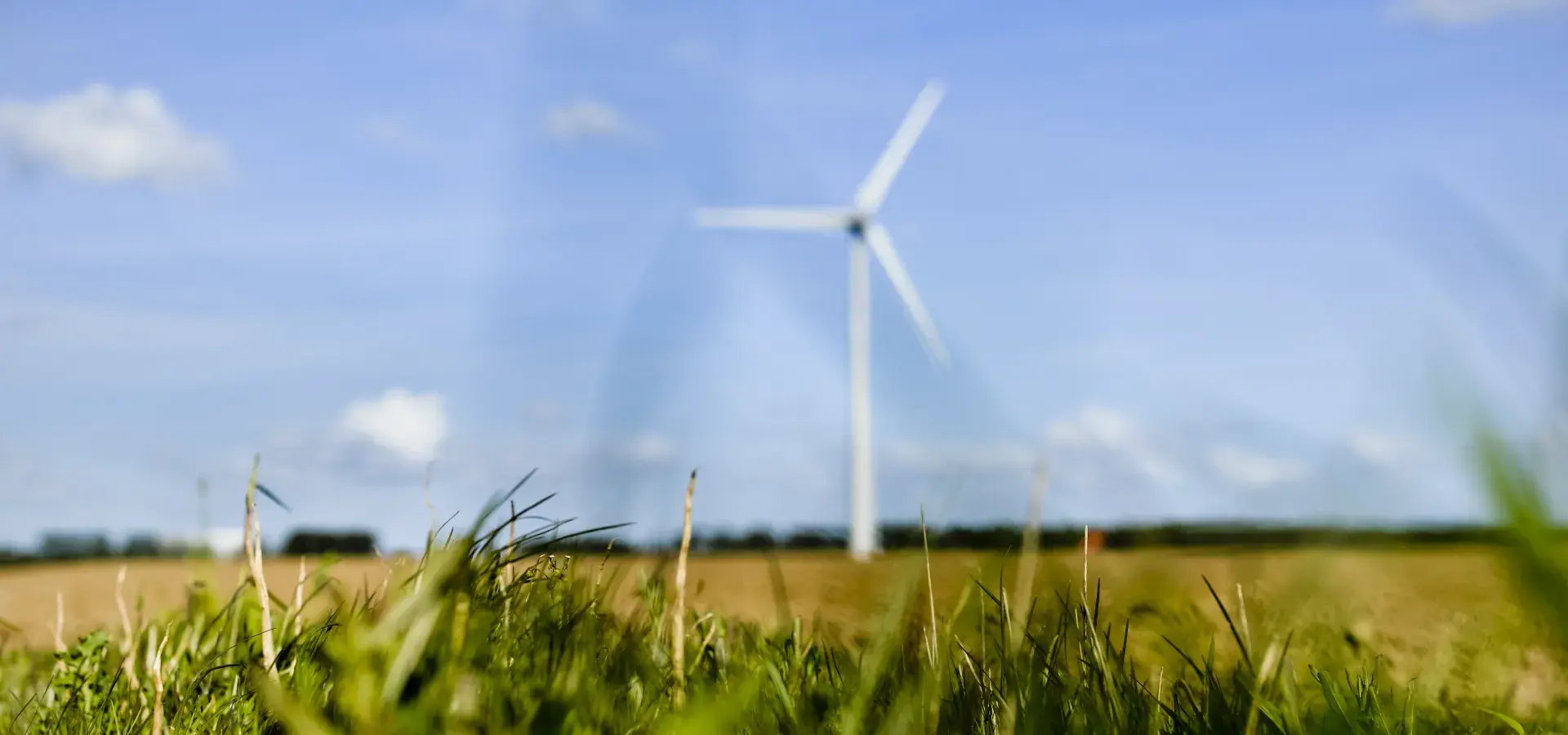 Une éolienne en arrière plan dans la nature