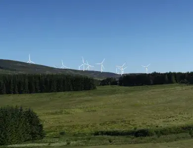 Une dizaine d'éoliennes au loin sur une colline verdoyante.
