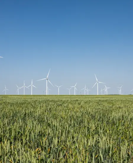 Parcs éoliens Louville-la-Chenard crédit photo Emeline Hamon