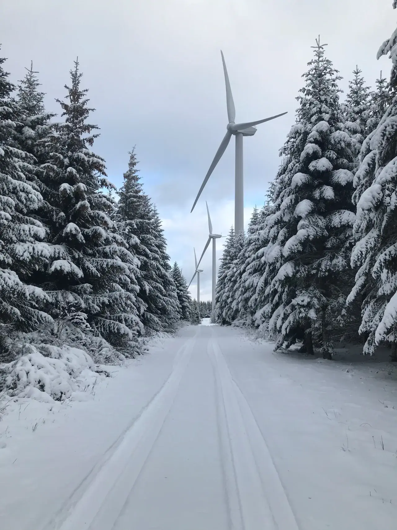 Photo du parc des Sources de la Loire