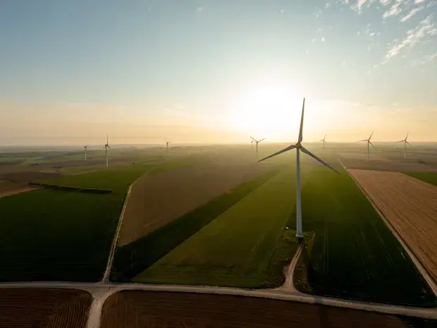 Photo éoliennes Chasse Maré