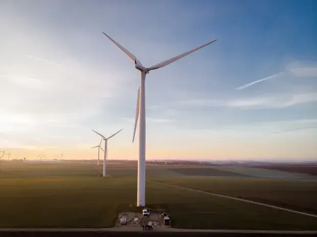 Photo du parc de Saint-Patrick